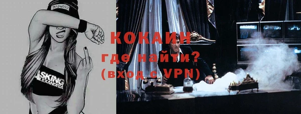 гашик Майский