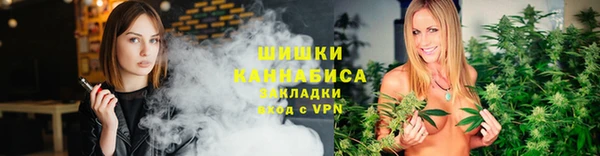 гашик Майский