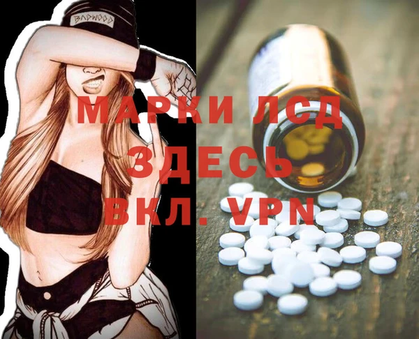 ГАЛЛЮЦИНОГЕННЫЕ ГРИБЫ Магадан