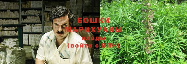 ГАЛЛЮЦИНОГЕННЫЕ ГРИБЫ Магадан