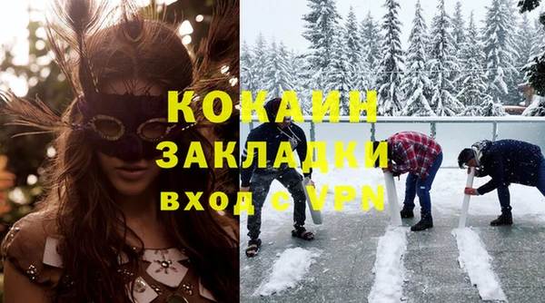 гашик Майский
