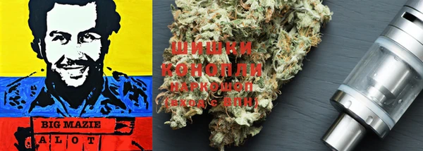 ГАЛЛЮЦИНОГЕННЫЕ ГРИБЫ Магадан