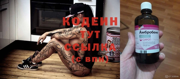 гашик Майский