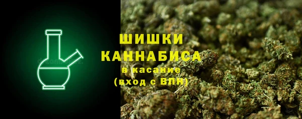 гашик Майский