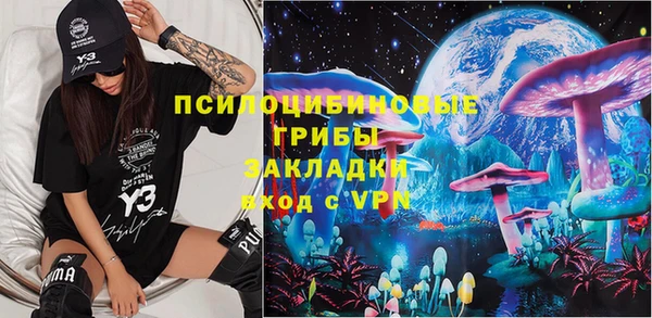 гашик Майский