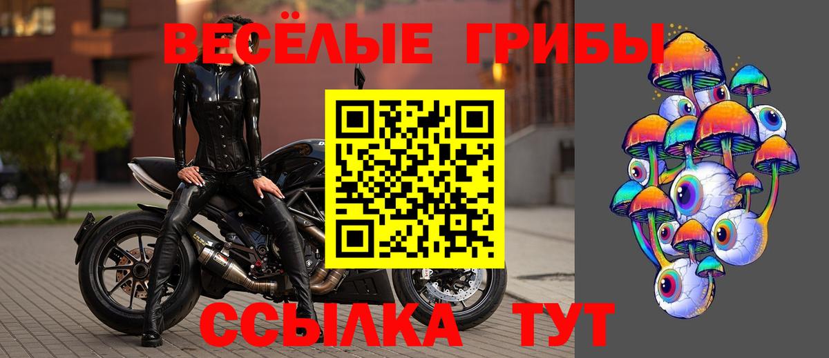 Галлюциногенные грибы мицелий Ахтубинск