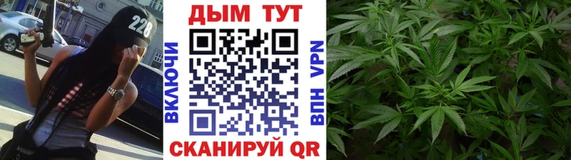 Конопля планчик  мега как войти  Ахтубинск 